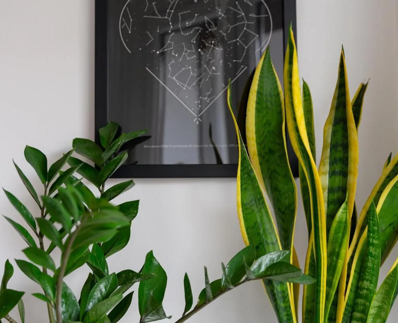 Apartment Appartamento - Centro Storico Milan Italy